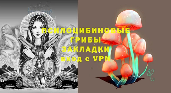дмт Абинск