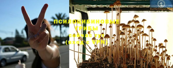 прущие крисы Алексеевка