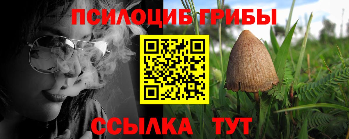 Елизово  Галлюциногенные грибы Psilocybe  Псилоцибиновые грибы мицелий  Вход с VPN 